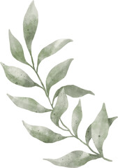 Leaf Watercolor Illustration