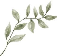 Leaf Watercolor Illustration