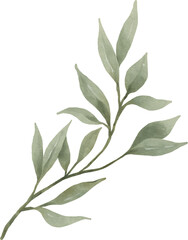 Obraz premium Leaf Watercolor Illustration