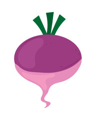 radish vegetable icon