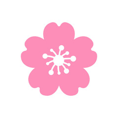 Cherry blossom vector Pink cherry blossoms blooming Isolated on white background