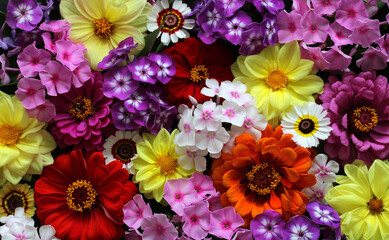 Texture of various flowers, top view.  Floral background