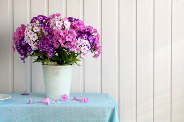 Bouquet of Colorful Phlox. Cottage Core.
