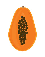 papaya fruit icon