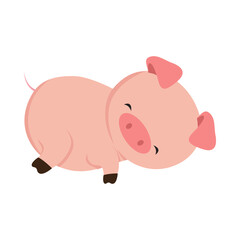 Pig Design Very Cute Animal