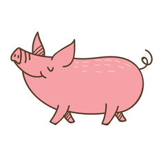 Pig Design Very Cute Animal