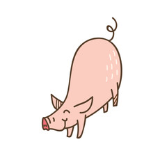 Pig Design Very Cute Animal
