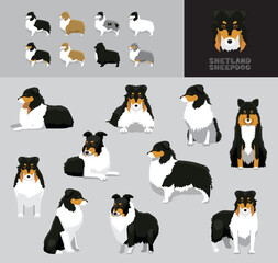 Dog Shetland Sheepdog Cartoon Vector Illustration Color Variation Set