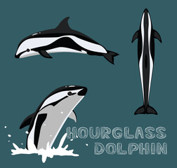 Obraz premium Hourglass Dolphin Cartoon Vector Illustration