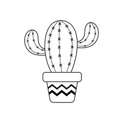 Vector cactus in potted plant. Cactus A variety of succulent plants that are popular to grow