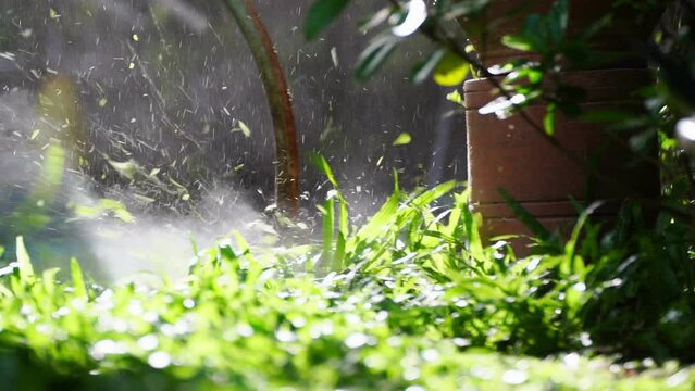 spinning nylon string parallel to the grass-level slow-motion clip, Trimming the excess grass with a brushcutter