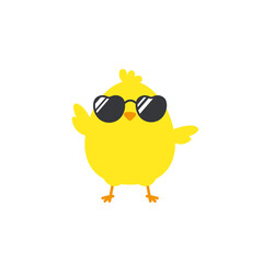 Newborn chick with glasses coming out of eggs isolated on background.
