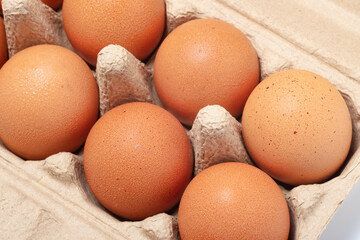 Chicken eggs in an open egg carton isolated on white. Fresh chicken eggs background. Eggs in box