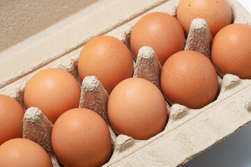 Chicken eggs in an open egg carton isolated on white. Fresh chicken eggs background. Eggs in box