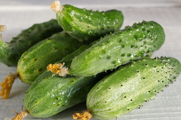 cucumbers on a table