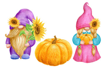 Gnomes with pumpkin and sunflowers. Thanksgiving or Harvest Day card design. Watercolor drawing.