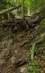 Naklejka na ściany i meble Difficult hiking trail 