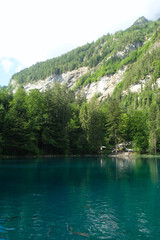 Selective focus picture of trees at Blausee Lake with nature view and mountain insight. Famous attraction place in Switzerland.