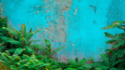 Green leaves on old weathered wall facade. Vintage background. Front view