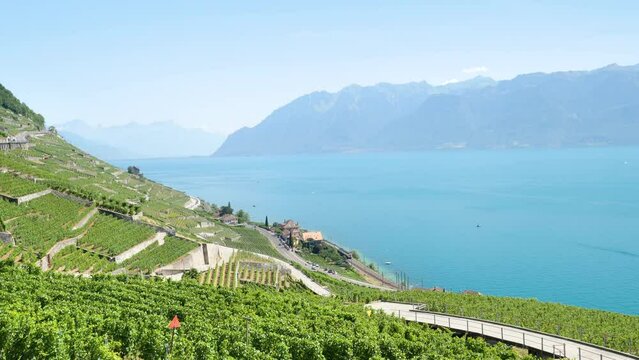 Panoramic view of Vevey at Lake Geneva with vineyards- Switzerland