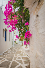 Fototapeta na wymiar Prodromos village, in Cyclades Archipelago, Greece.