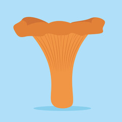 chanterelle mushrooms on a blue background