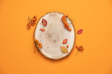 Wood podium saw cut of tree on orange background with  autumn rowan berries and leaves. Top view ...