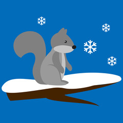 Gray squirrel on a snowy branch in winter