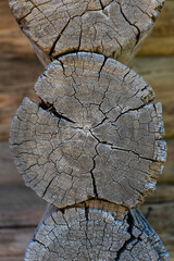 Textured background of tree rings. Natural Wood Texture. sawing logs. cut tree trunk with annual...