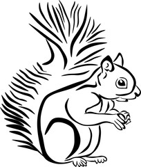 Vector of squirrel