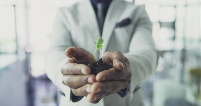 Green Economy Plant, Hands Or Business Vision Goal For Future Innovation, Company Growth And Sustainability. Closeup Man, Office Employee Or Worker With Success Accountability In Working Environment