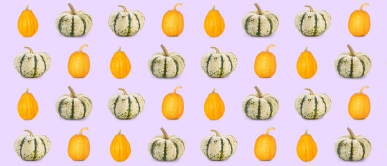 Many pumpkins on lilac background. Pattern for design