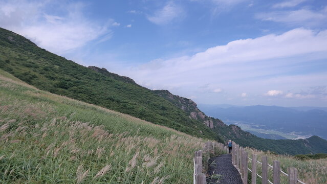 Reed scenery of Sinbulsan Mountain in Korea