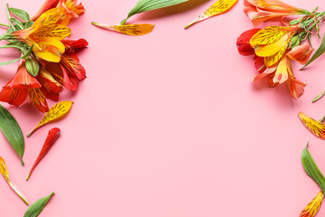 Composition with beautiful alstroemeria flowers on pink background