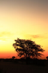 Naklejka na ściany i meble Africa Sunset