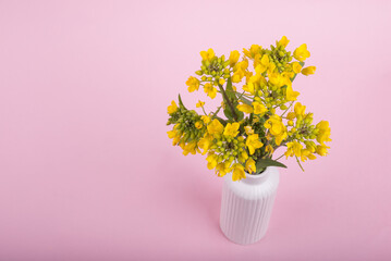 ピンクの背景の花瓶に挿した菜の花