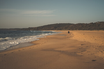 Fototapeta na wymiar Woman chasing little dog on warm beach