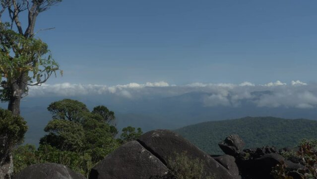 View Of Mount Bartle Frere Summit, Queensland's Highest Mountain In Australia - static