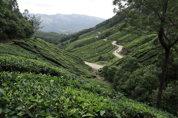 landscape in the mountains