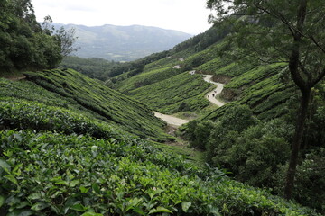 mountain valley in the mountains