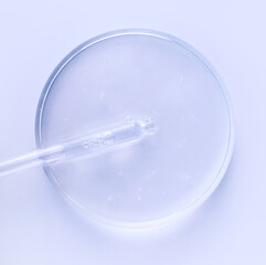 glass pipette serum gel in petri dish on a light background