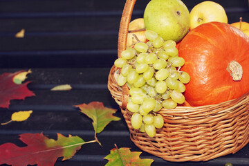 Beautiful autumn fall composition with bench, basket with pumpkins, fruits, grape and leaves. Concept of Thanksgiving day or Halloween. Autumn background.