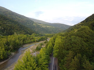 Tree tunnel from sky