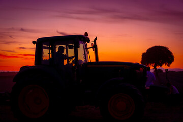 Obraz premium A harvester cutting the crop at sunset in a lavender field, nature photography