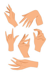 Vector illustration set of human hands hand gesture palm fingers man woman