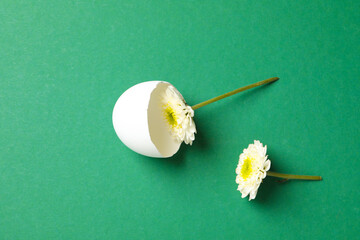 Half of egg shell and flowers on green background