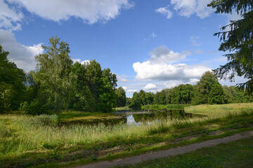 Fototapeta na wymiar Beautiful summer nature landscape with a overgrown grass pond, lake or river and green forest. Pavlovsk park