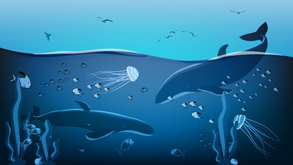 Sea cut for education with marine life and sky with seagulls. Fish swim with whales and jellyfish.