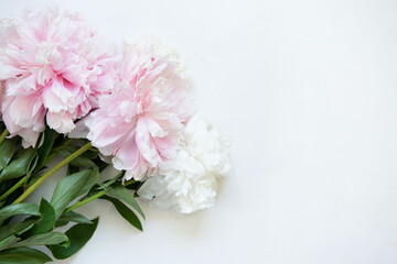 Naklejka na ściany i meble Bouquet of flowers. Pink and white peonies on white background. Beautiful flowers for valentines and wedding scene. Valentines and 8 March Mother Women's Day concept.