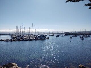 yachts in the harbor